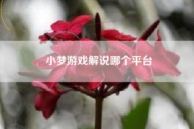 小梦游戏解说哪个平台