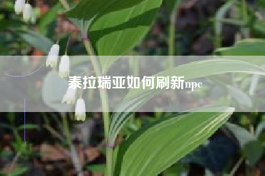 泰拉瑞亚如何刷新npc