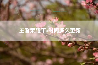 王者荣耀平a时间多久更新
