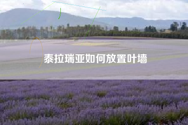 泰拉瑞亚如何放置叶墙