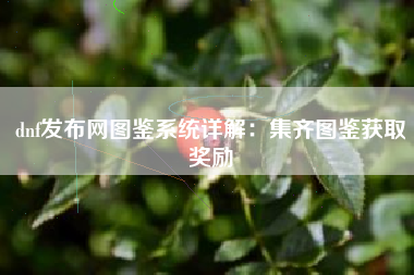 dnf发布网图鉴系统详解：集齐图鉴获取奖励