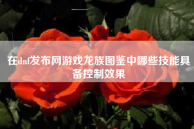 在dnf发布网游戏龙族图鉴中哪些技能具备控制效果