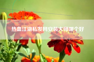 热血江湖私发网安装大师哪个好