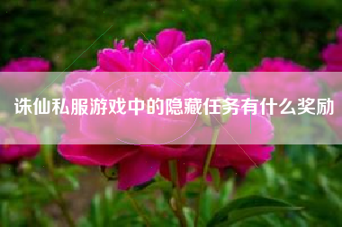 诛仙私服游戏中的隐藏任务有什么奖励