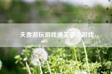 夫妻游玩游戏通关哪个游戏
