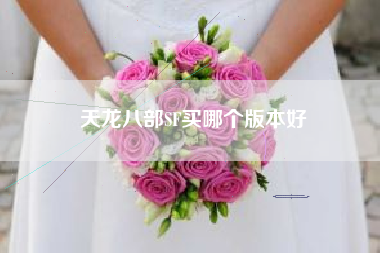 天龙八部SF买哪个版本好