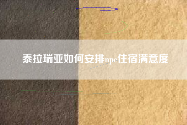 泰拉瑞亚如何安排npc住宿满意度