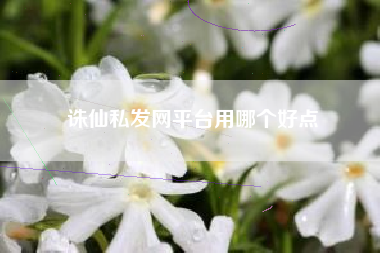 诛仙私发网平台用哪个好点