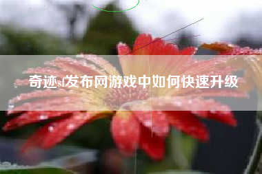 奇迹sf发布网游戏中如何快速升级