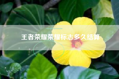 王者荣耀荣耀标志多久结算