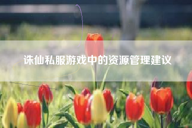 诛仙私服游戏中的资源管理建议