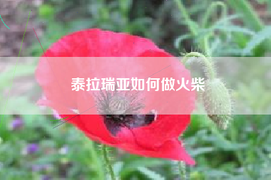 泰拉瑞亚如何做火柴