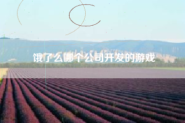 饿了么哪个公司开发的游戏