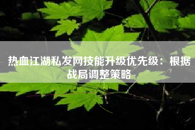 热血江湖私发网技能升级优先级：根据战局调整策略