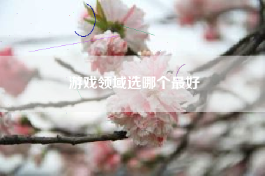 游戏领域选哪个最好