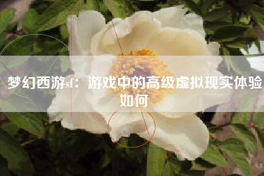 梦幻西游sf：游戏中的高级虚拟现实体验如何