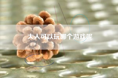 大人可以玩哪个游戏呢