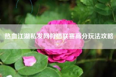 热血江湖私发网狩猎联赛高分玩法攻略