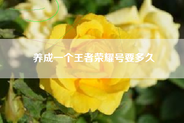 养成一个王者荣耀号要多久