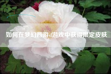 如何在梦幻西游sf游戏中获得限定皮肤