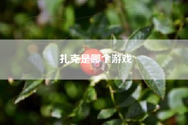 扎克是哪个游戏