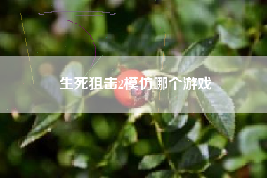 生死狙击2模仿哪个游戏