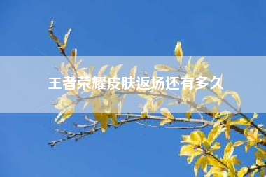 王者荣耀皮肤返场还有多久