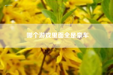哪个游戏里面全是豪车