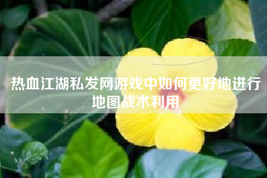 热血江湖私发网游戏中如何更好地进行地图战术利用