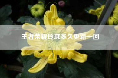 王者荣耀玲珑多久更新一回