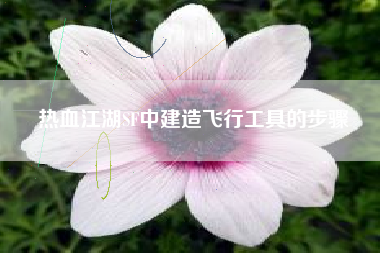 热血江湖SF中建造飞行工具的步骤