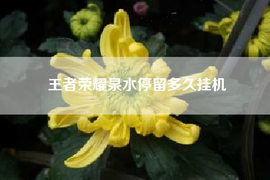 王者荣耀泉水停留多久挂机