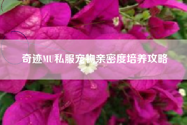 奇迹MU私服宠物亲密度培养攻略