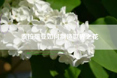 泰拉瑞亚如何制造世界之花
