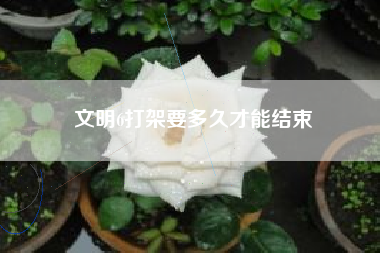 文明6打架要多久才能结束