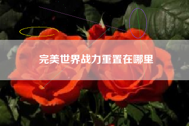 完美世界战力重置在哪里