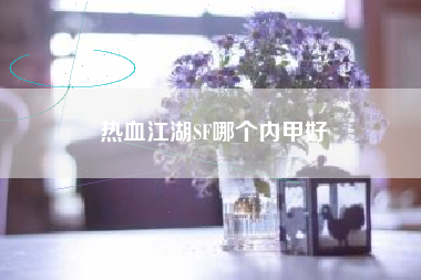 热血江湖SF哪个内甲好