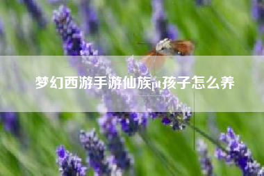 梦幻西游手游仙族pt孩子怎么养