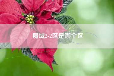 魔域2-2区是哪个区