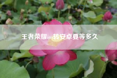 王者荣耀ios转安卓要等多久