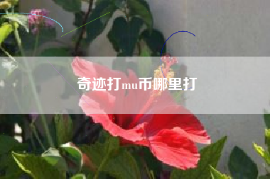 奇迹打mu币哪里打