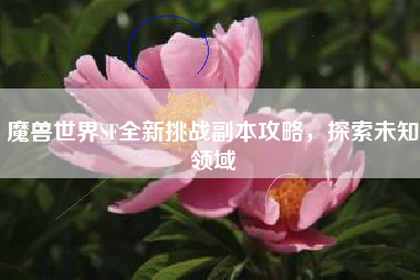 魔兽世界SF全新挑战副本攻略，探索未知领域