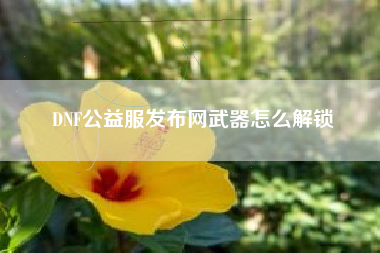 DNF公益服发布网武器怎么解锁 DNF公益服发布网武器怎么解锁