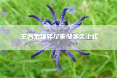 王者荣耀弈星重做多久上线