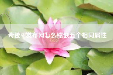 奇迹SF发布网怎么镶嵌五个相同属性