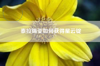 泰拉瑞亚如何获得星云锭