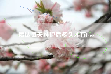 魔域每天维护后多久才有boss