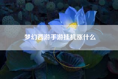 梦幻西游手游挂机涨什么