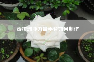 泰拉瑞亚力量手套如何制作
