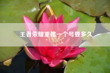 王者荣耀重建一个号要多久